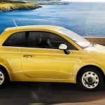 Do You Need Customized Show Plates?